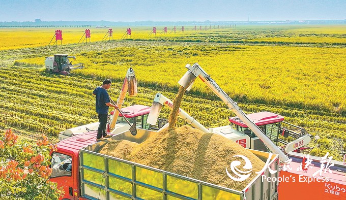 金秋沃野绘“丰”景