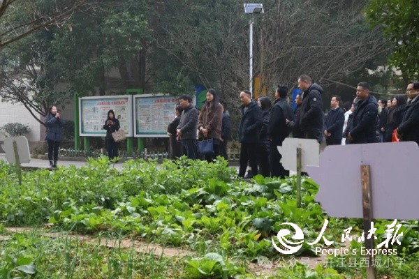 1768658281747642.jpg 2.jpg