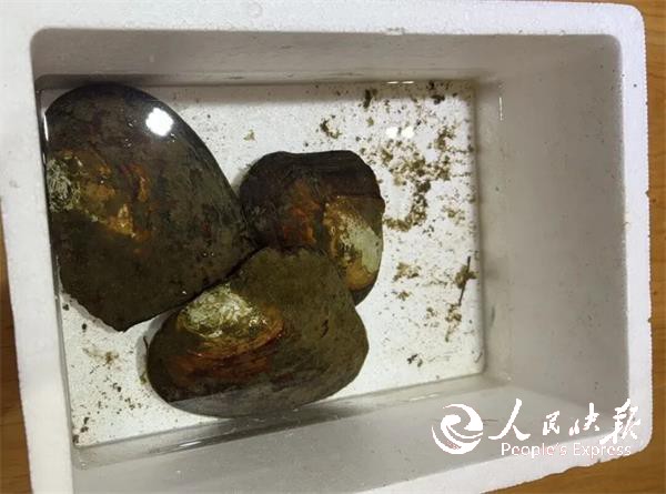 1770448786709734.jpg 6.jpg