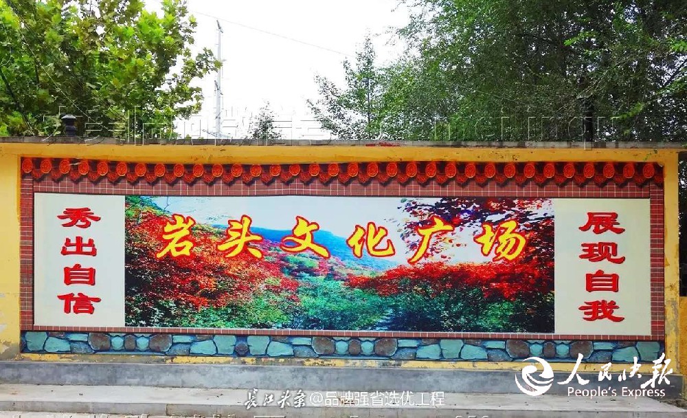 山东省临朐县城关街道井家田村五年振兴···