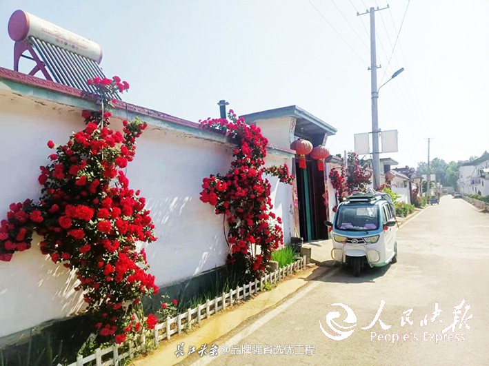 山东省临朐县九山镇麻坞村振兴走笔