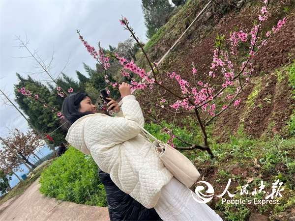 春风绽芳华 巾帼乐田园——开江县八庙···