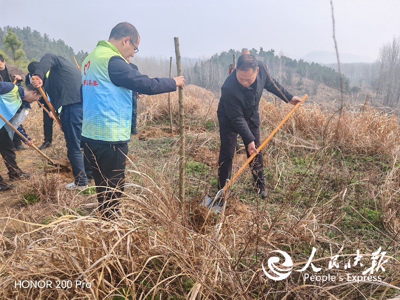 春风添新绿 植树正当时——河南南召板···
