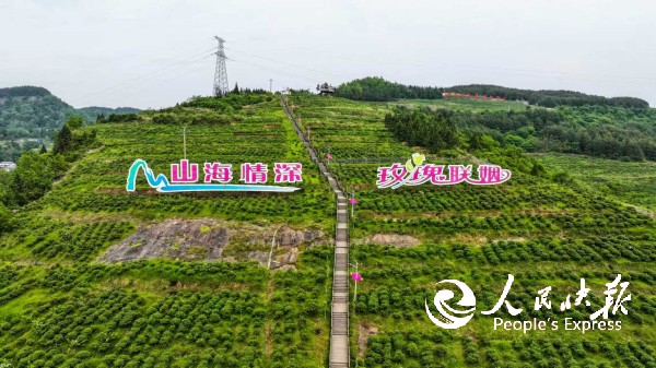 微信图片_20260514101913_618_2.jpg