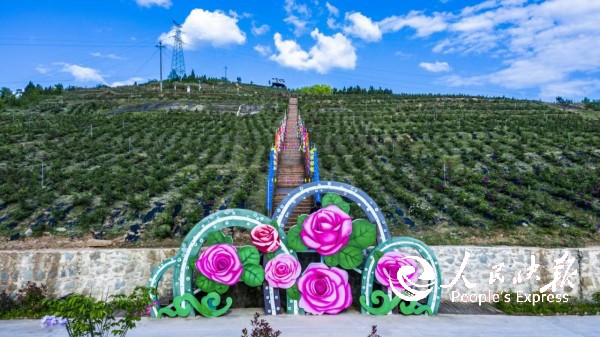 微信图片_20260514101912_617_2.jpg